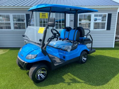blue golf cart (1)