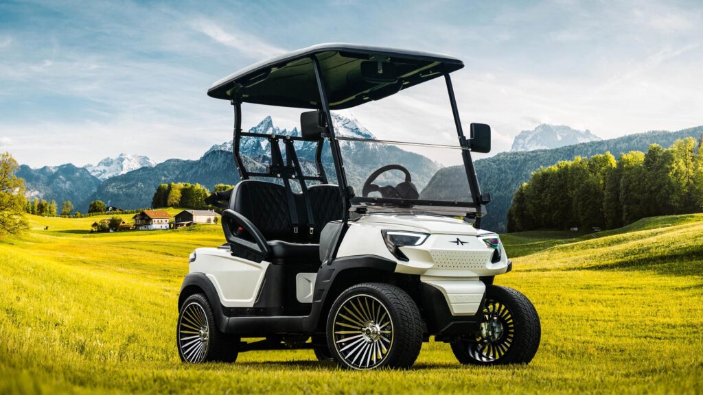 atlas golf carts 2 passenger cart