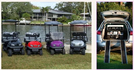 cricket carts for sale