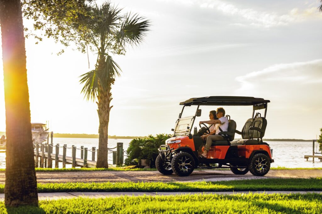 denago golf carts for sale