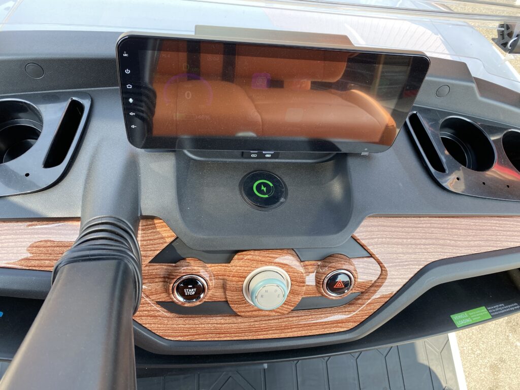 luxury golf cart (2)