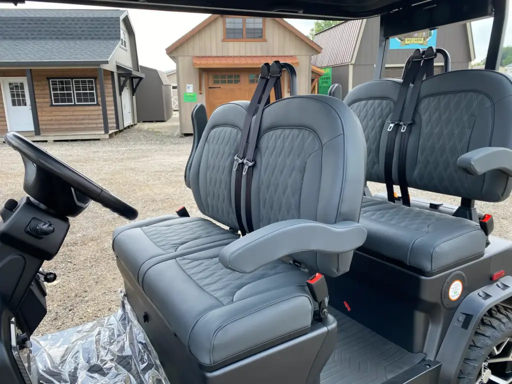 denago rover xl matte black Eastlake Ohio scaled (1)