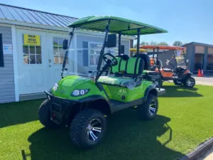 Will Electric Vehicles Take Over Hartville Golf Carts