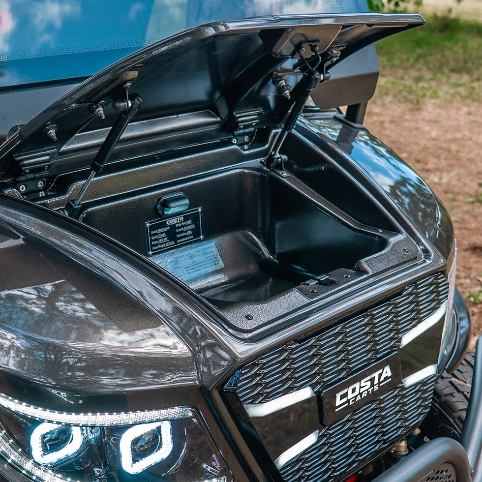 Costa Electric Golf Carts Warren ohio