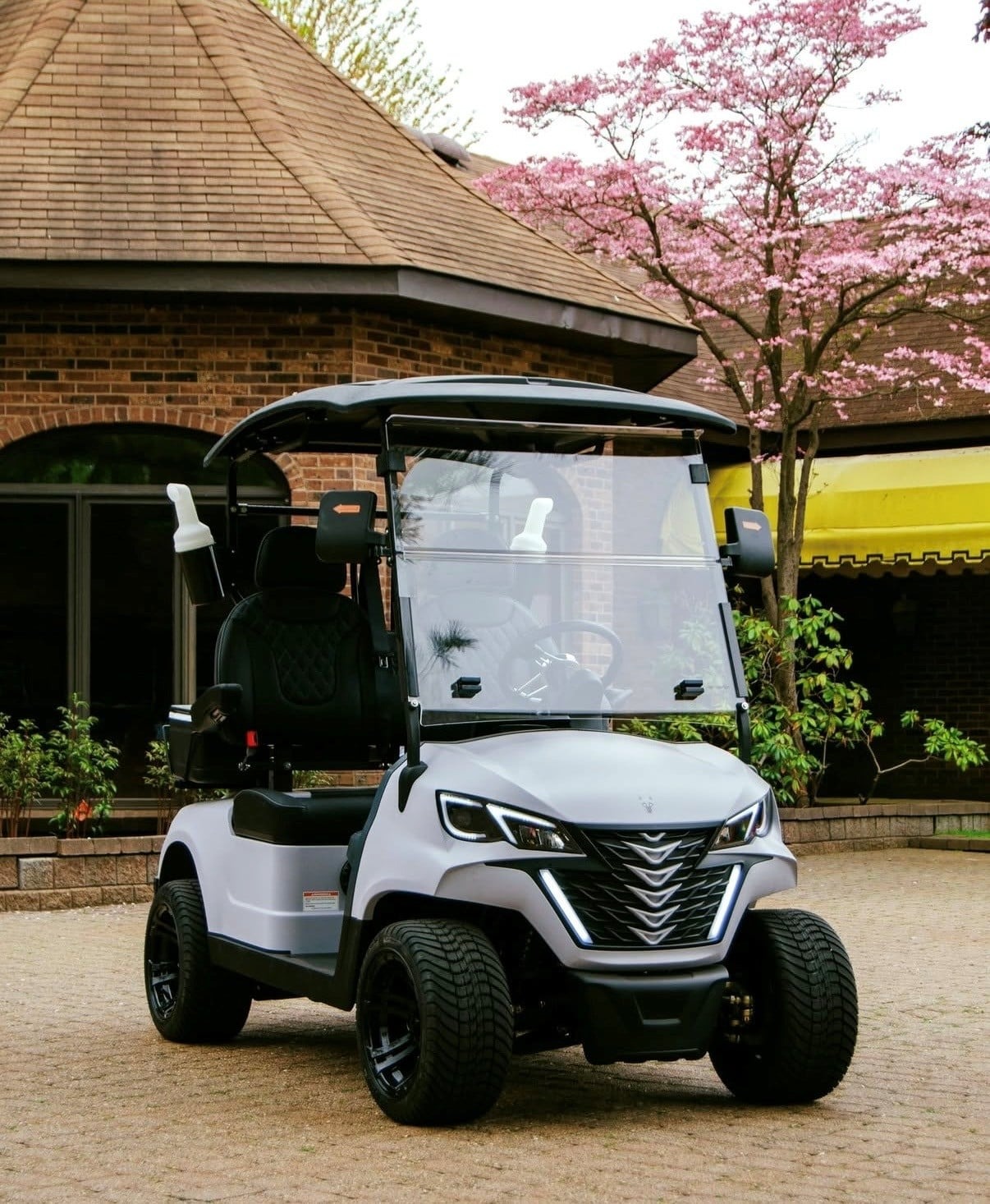 Greyson Golf Cart for sale