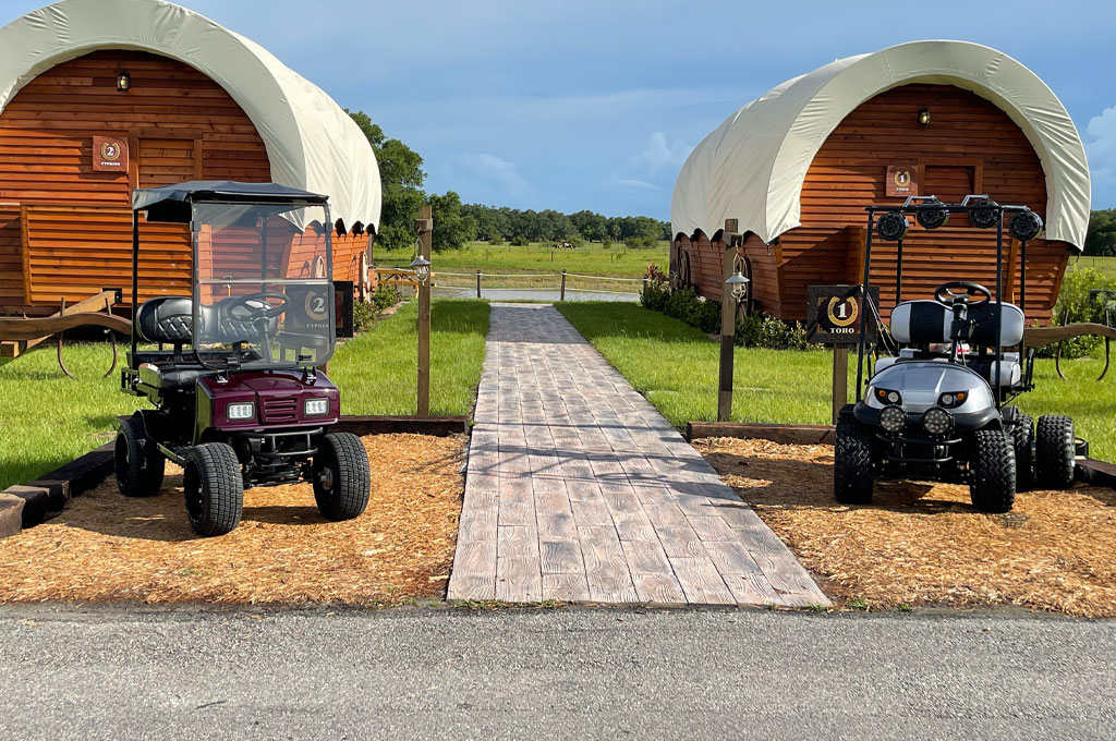 cricket 48v gecko golf cart concord ohio