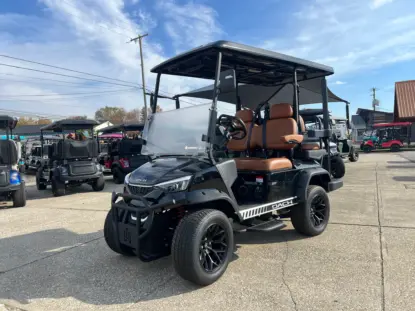 dach falcon 2+2 fairport harbor ohio 1