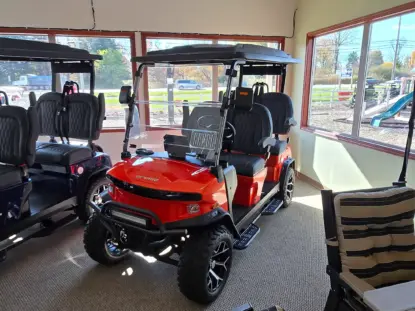 denago rover xl painesville ohio concord township ohio 1