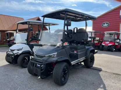 electric golf cart painesville ohio painesville ohio