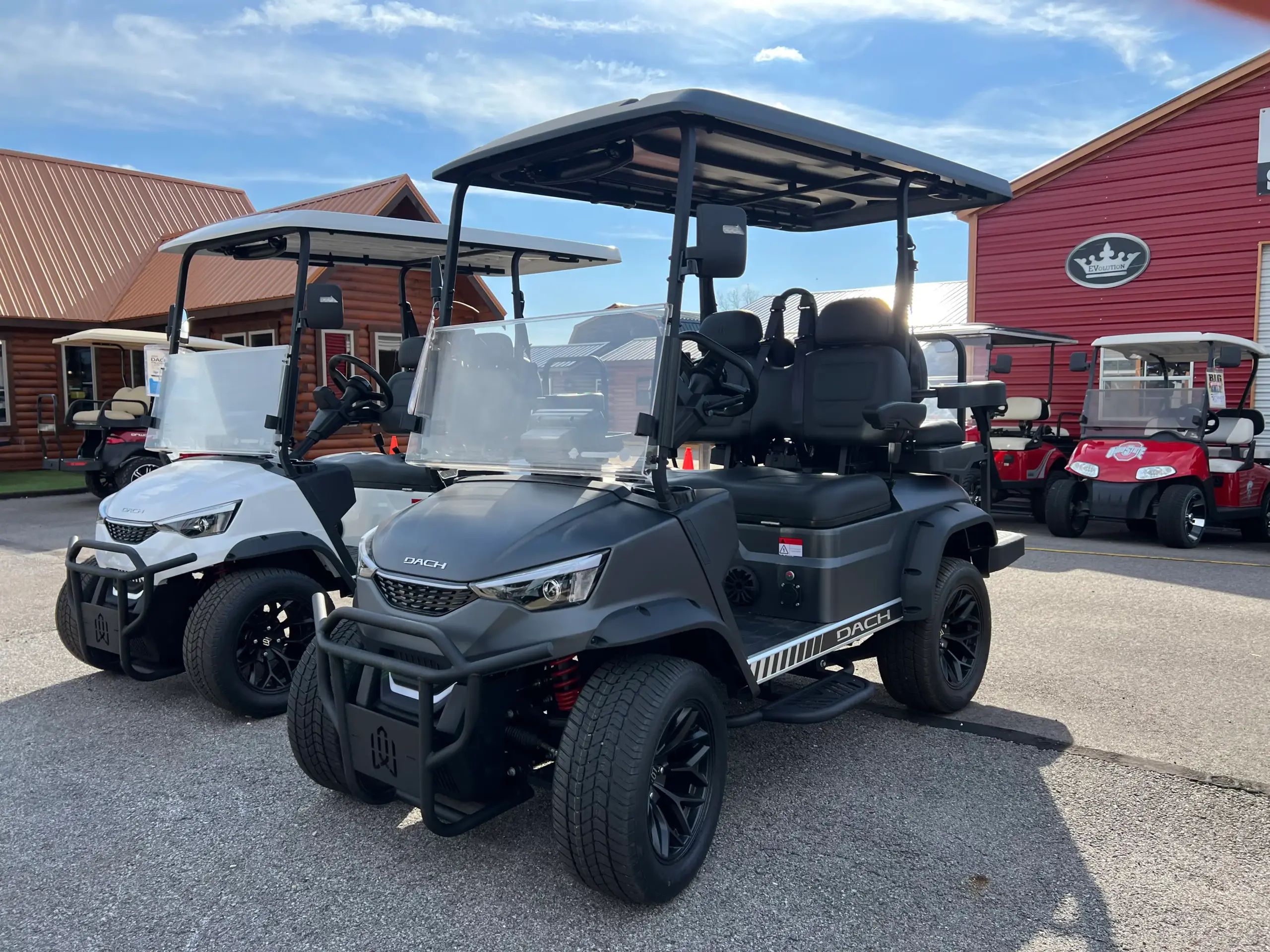 electric golf cart painesville ohio painesville ohio