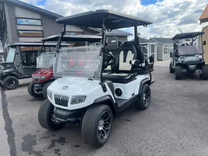 evolution golf cart for sale mentor ohio concord twp ohio 1
