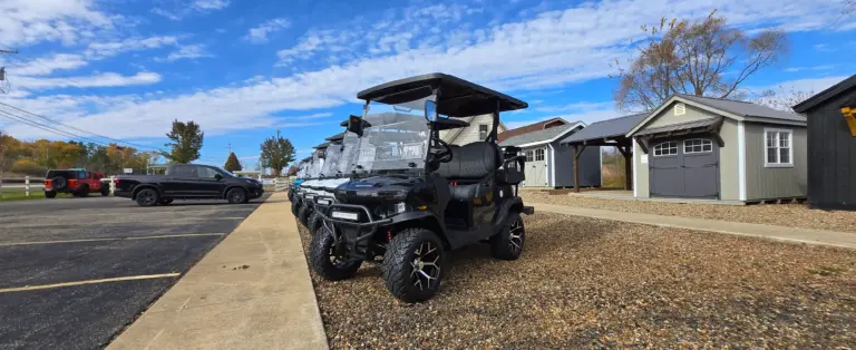 four passenger ev golf cart painesville painesville twp ohio 2