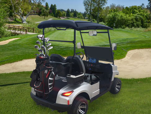 vcarts golf 2 passenger golf cart mentor on the lake