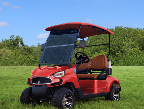 vcarts golf 2 passenger golf cart mentor on the lake