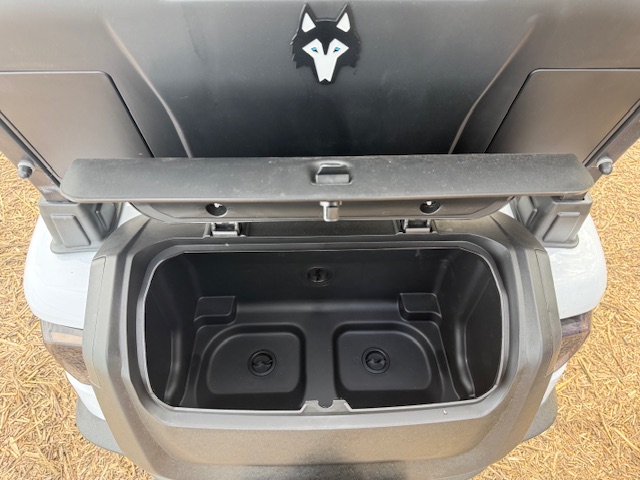 Greyson 4 Seat Forward Electric Golf Cart Akron Ohio