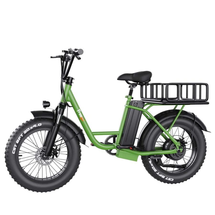 freego fb 20x cargo ebike Barberton Ohio