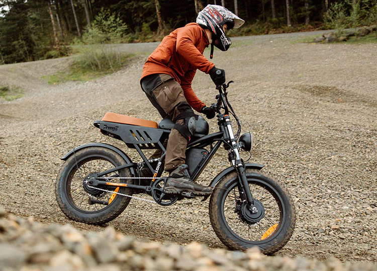 freego flash f3 pro ebike Near me