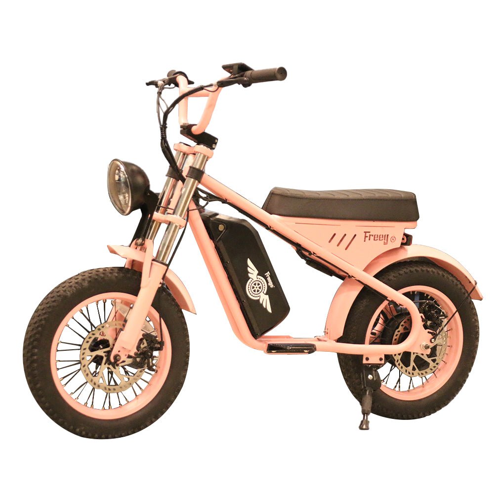 freego mini electric m1 motorcycle Warren ohio