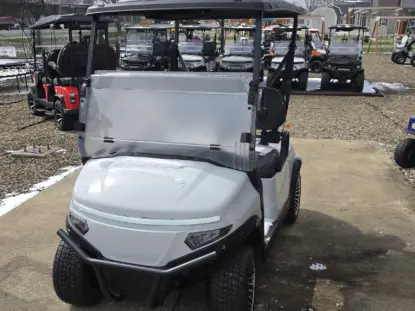 denago scout Hartville Golf Carts