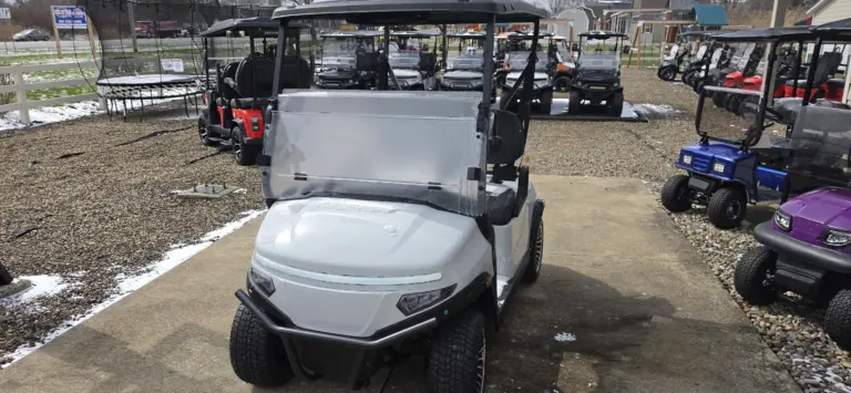denago scout Hartville Golf Carts