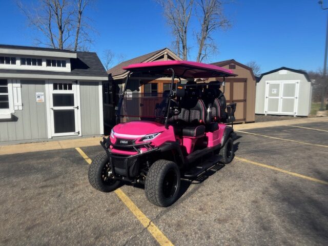 venom strike 6 golf cart Hartville Golf Carts