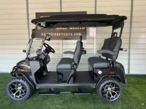 Can I Drive My Golf Cart on the Road willoughby ohio