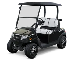 club car 2 passenger (2)