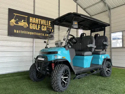denago ev golf cart dealers near me​ Painesville Township Ohio