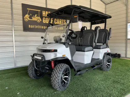 luxury golf cart for sale Mentor on the Lake Ohio