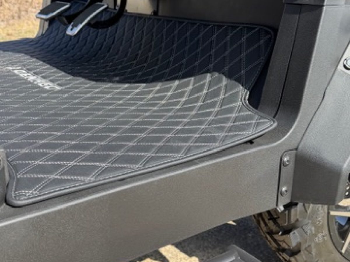 2025 denago rover xl Columbus Ohio