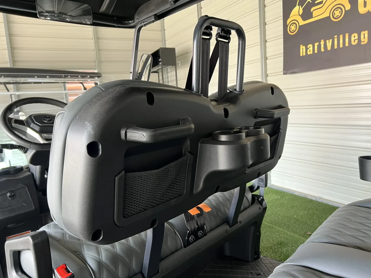 2025 denago rover xl For Sale Near Me