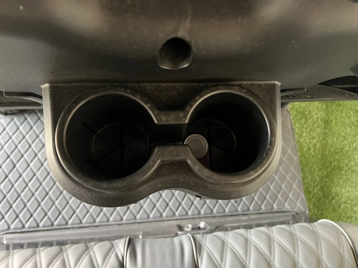 2025 denago rover xl For Sale