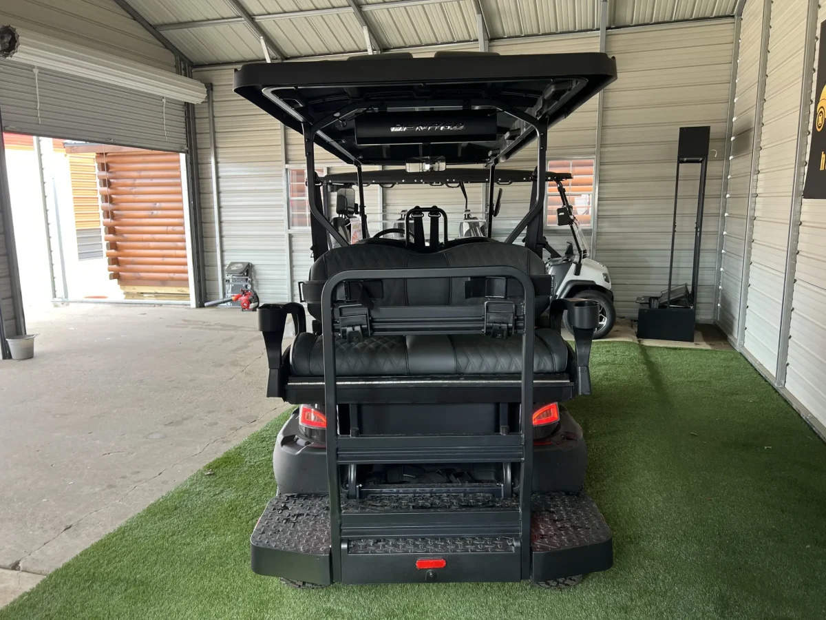 2025 denago rover xl Painesville Ohio