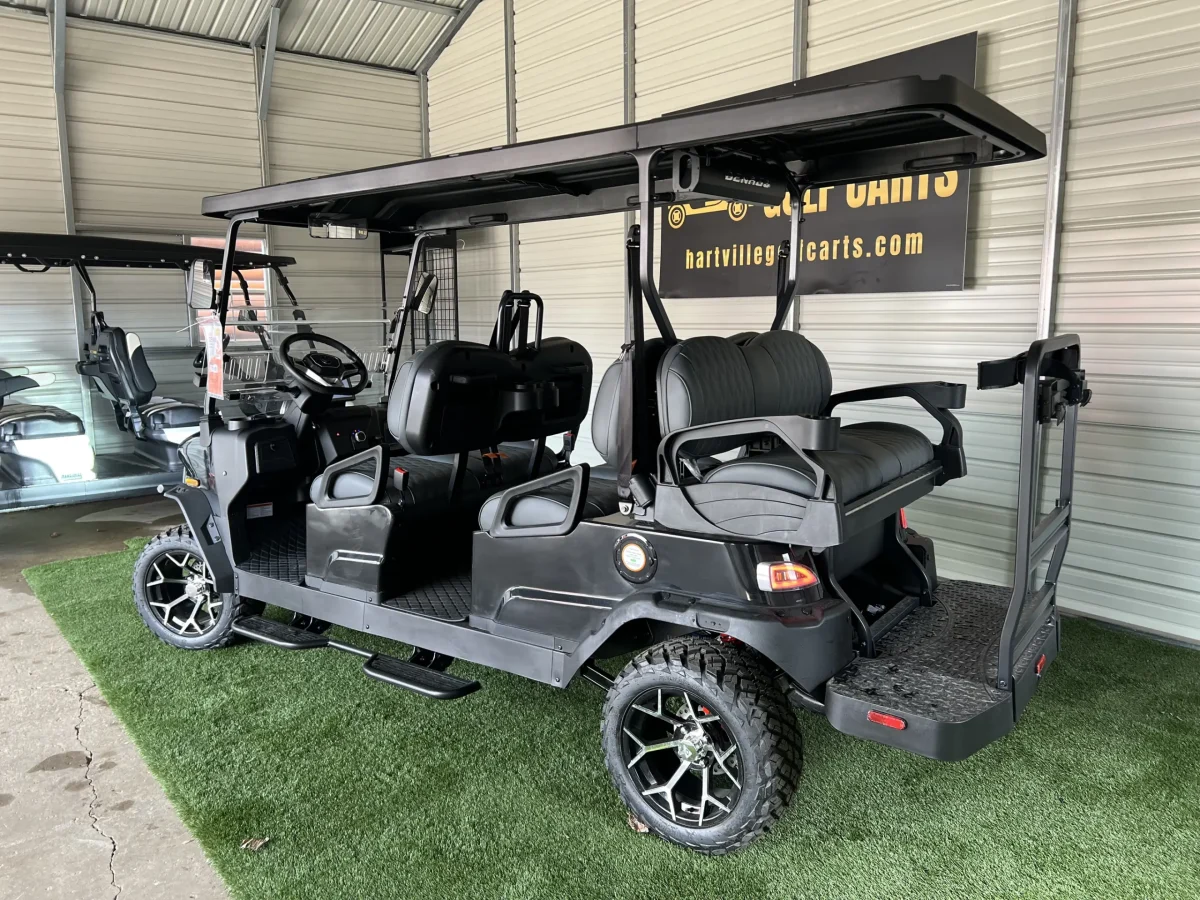 2025 denago rover xl Perry Ohio