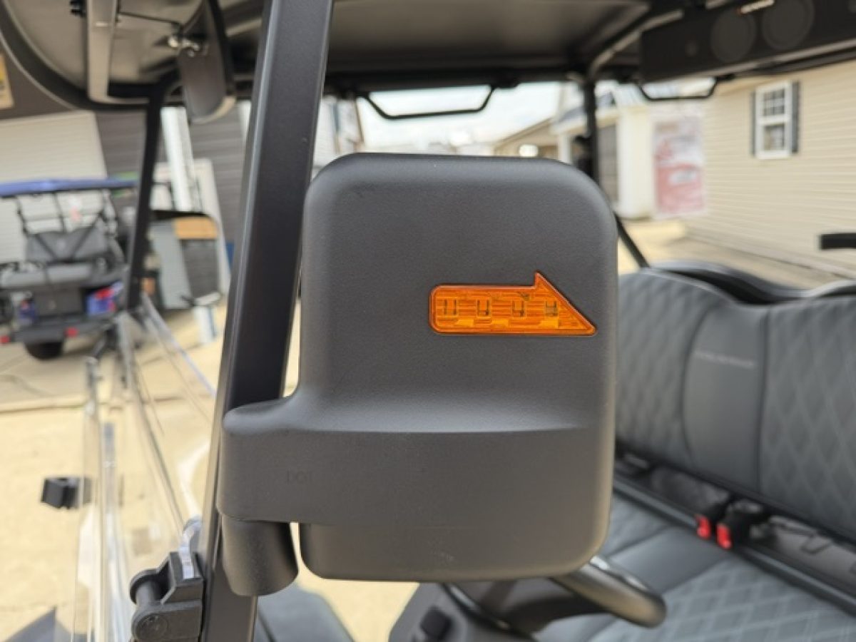 2026 denago ev golf cart​s Painesville Ohio
