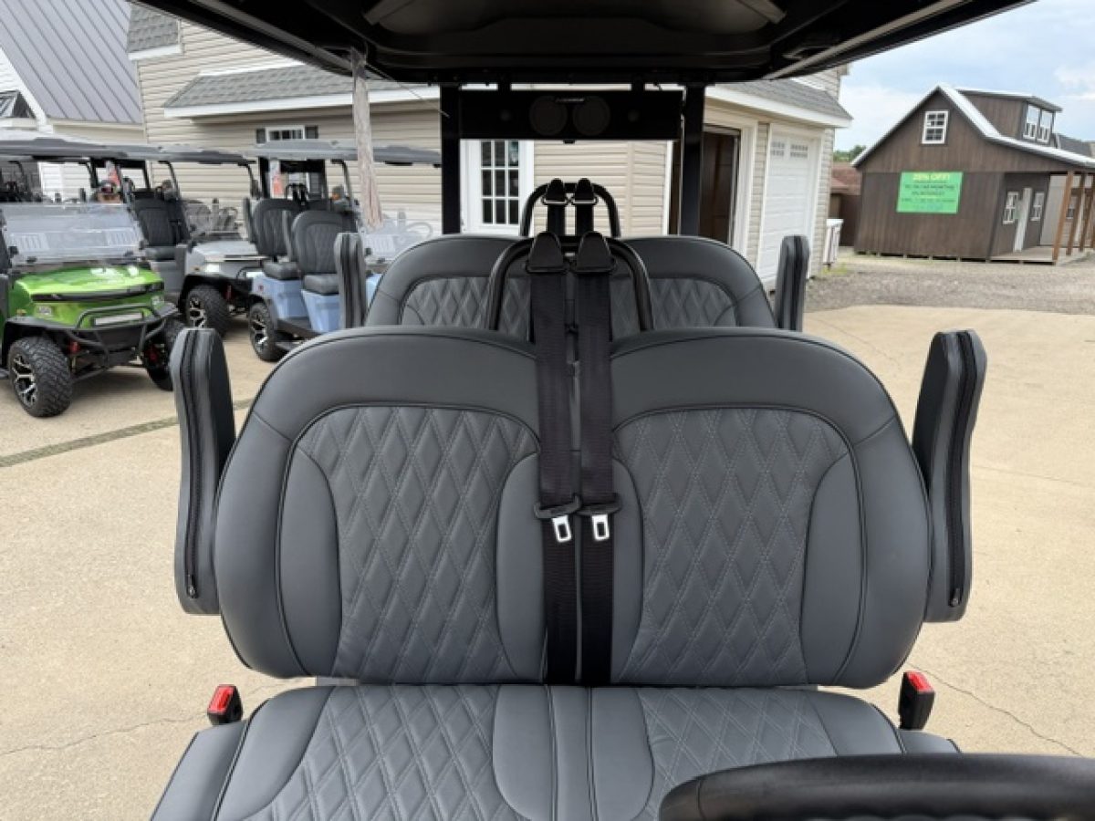 2026 denago ev on sale Painesville Ohio