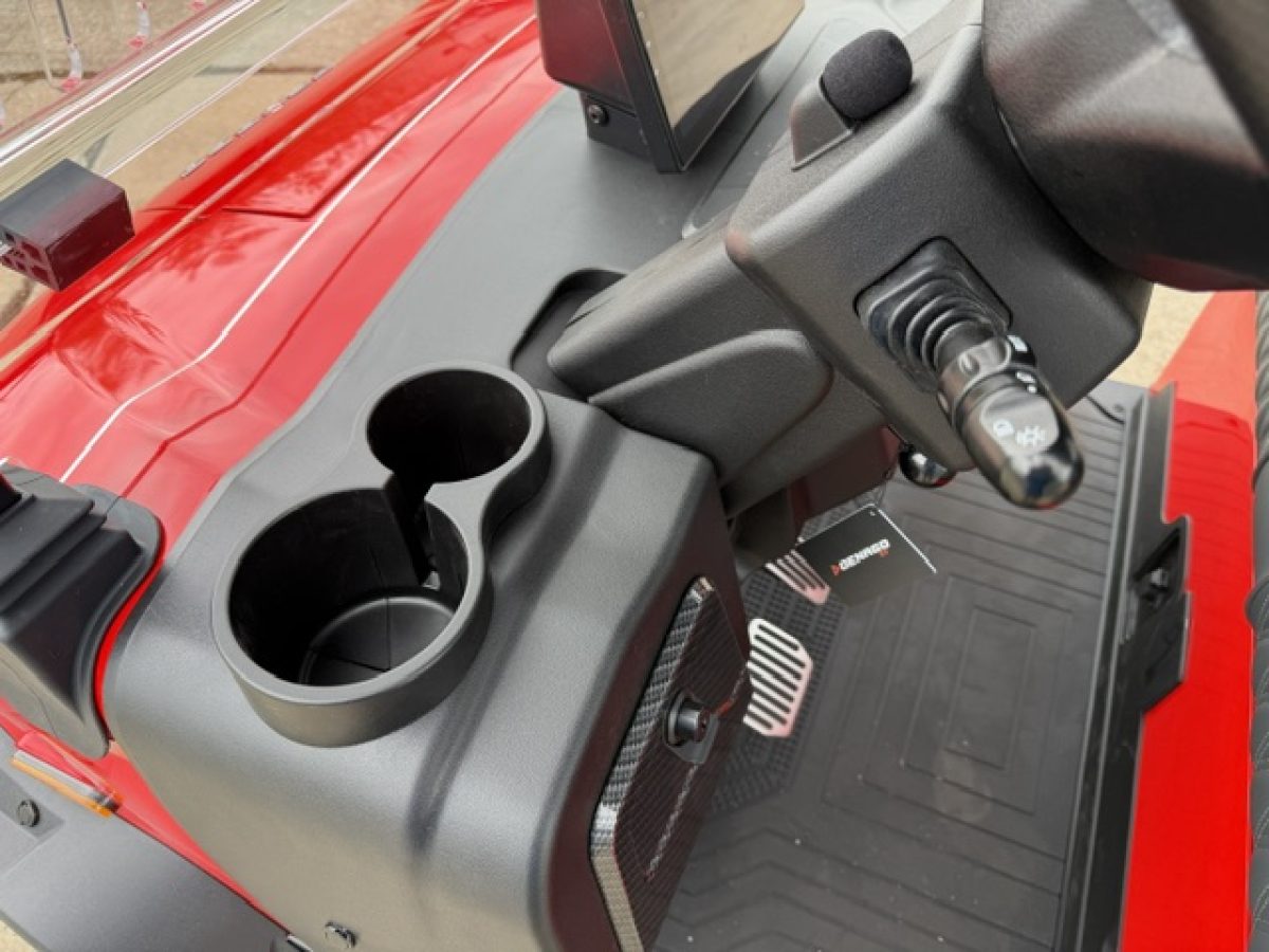 2026 denago golf carts for sale​ Geneva Ohio