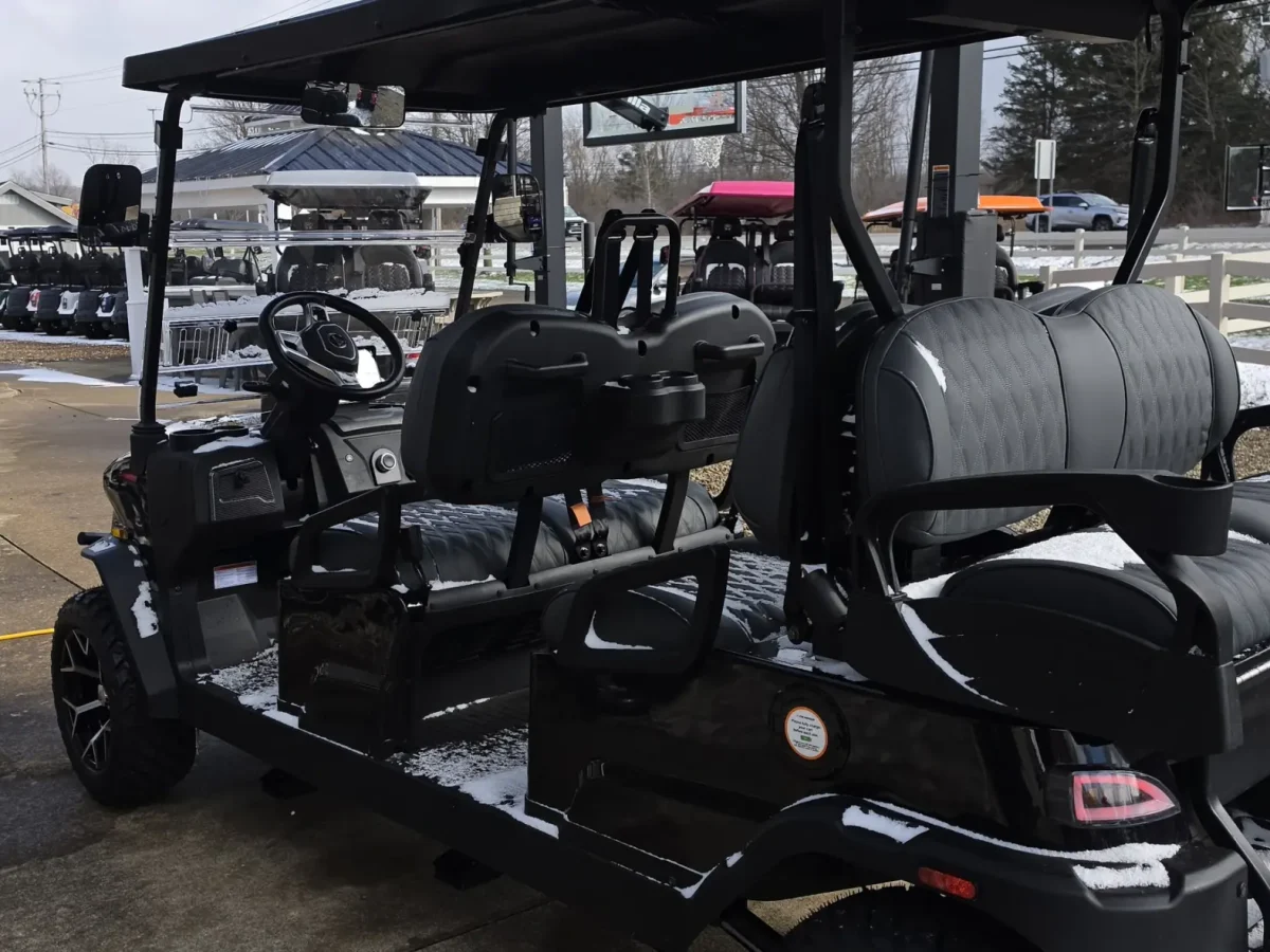 2026 denago rover xl on sale Wadsworth Ohio