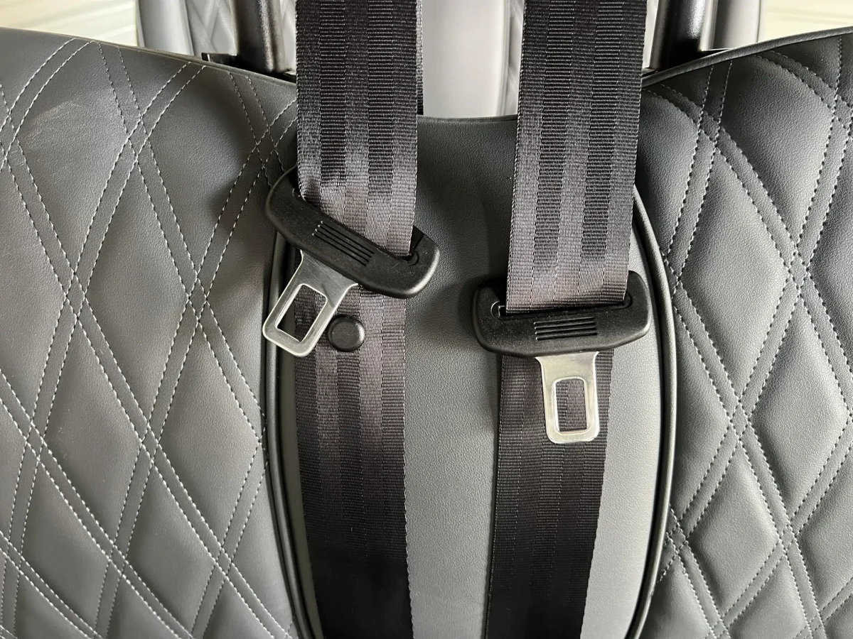 2026 denago rover xl6 Euclid Ohio