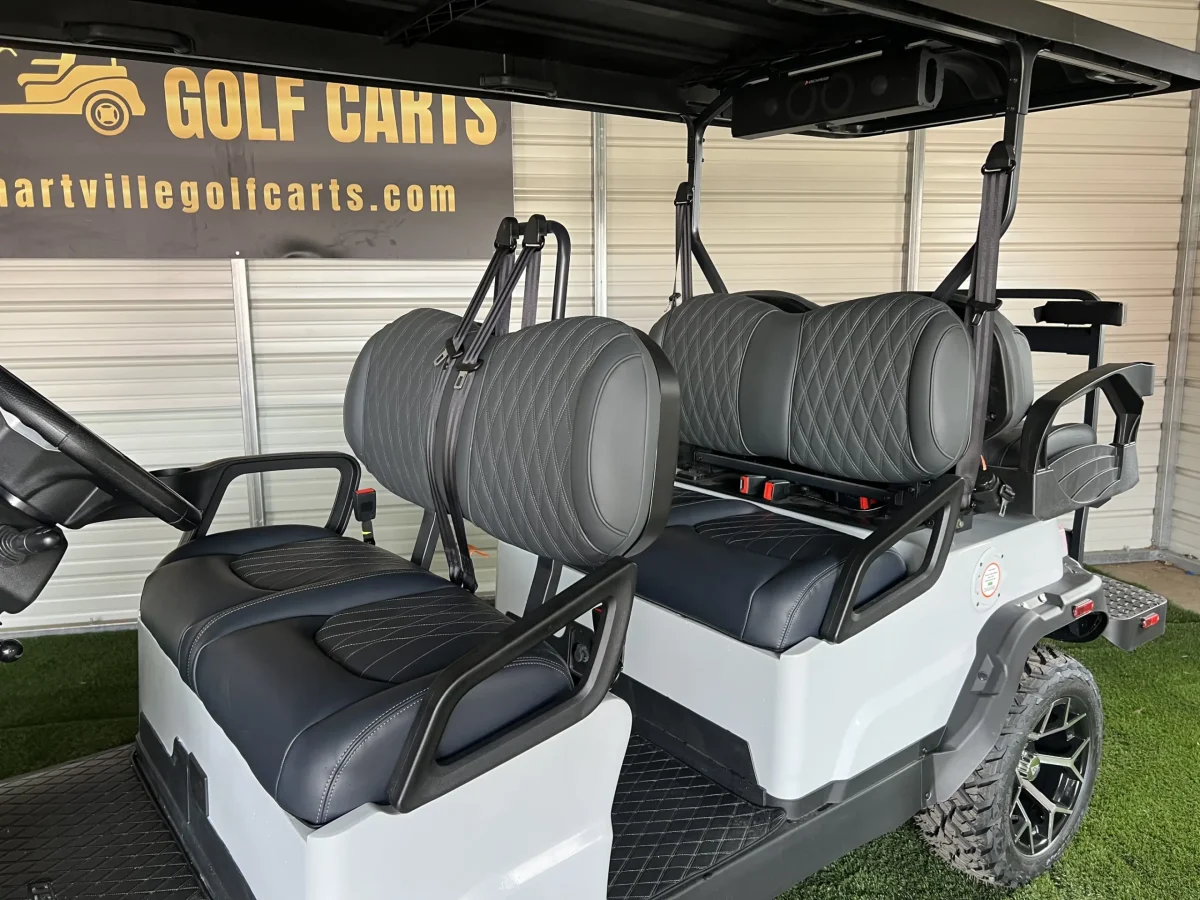 2026 denago rover xl6 Painesville Ohio 1