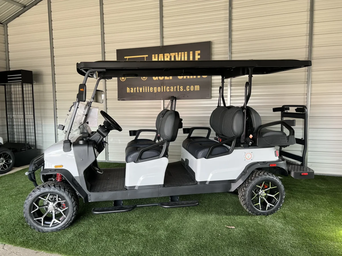 2026 denago rover xl6 Perry Ohio 1