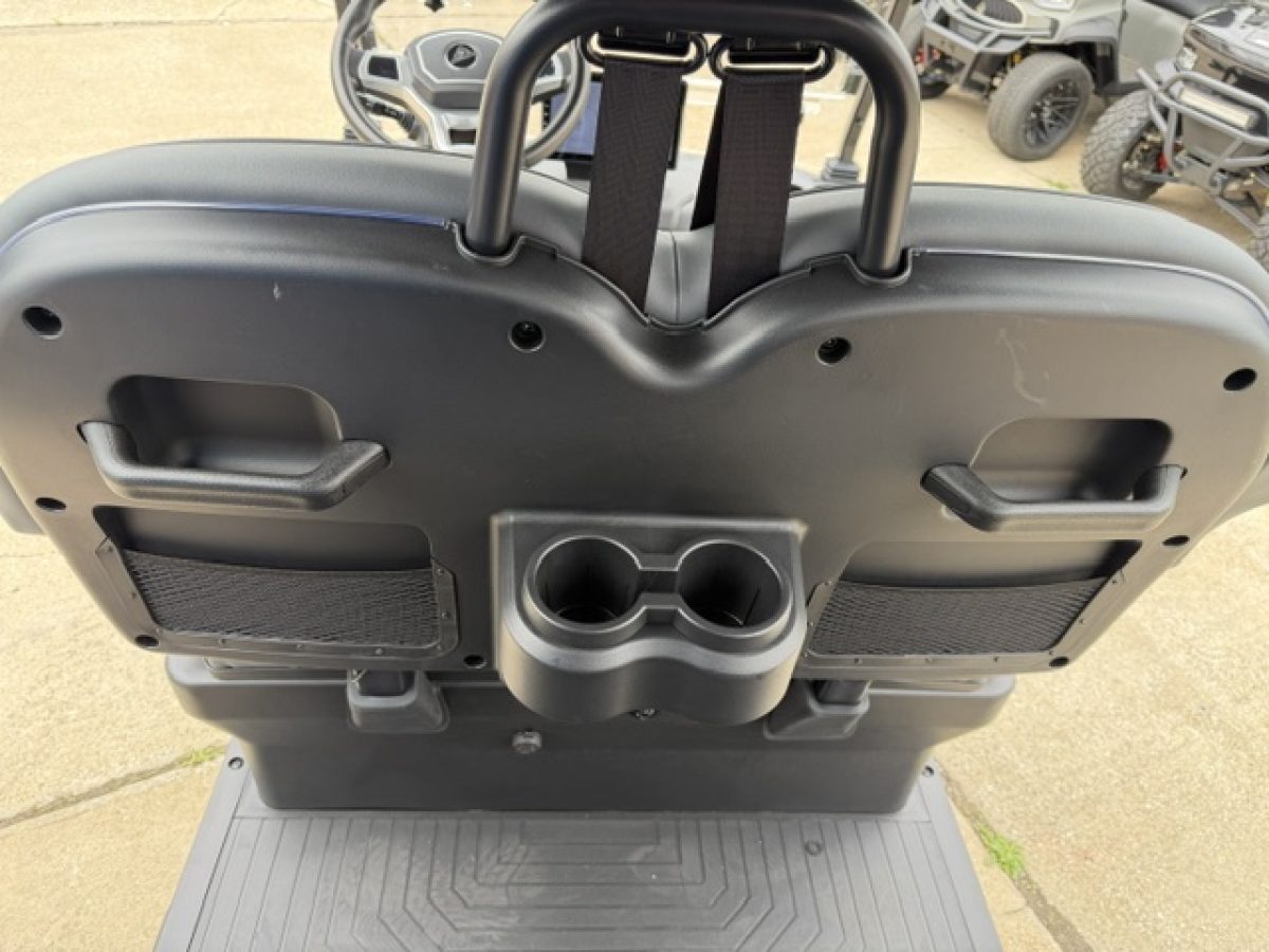 2026 denago rover xl​ Chardon Ohio