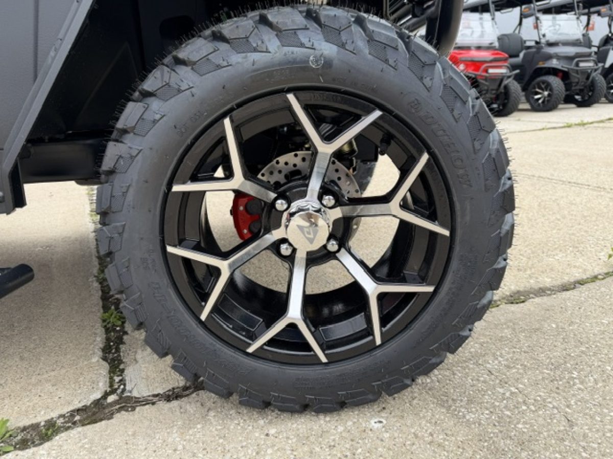 2026 denago rover xl​ Painesville Ohio