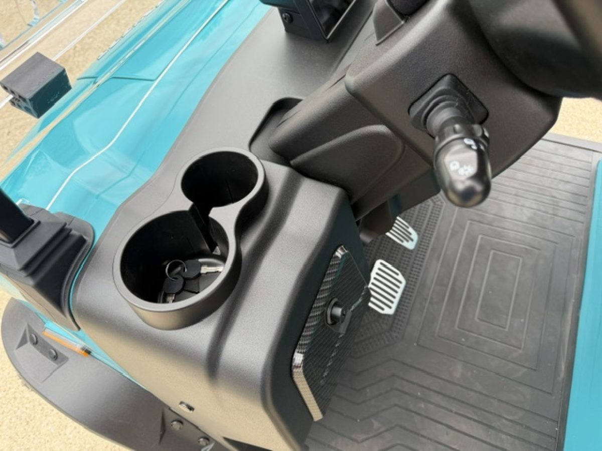 2026 denago rover xl​ golf cart for sale Geneva Ohio