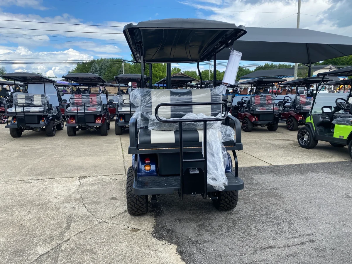 6 seat evolution golf cart Indianapolis Indiana
