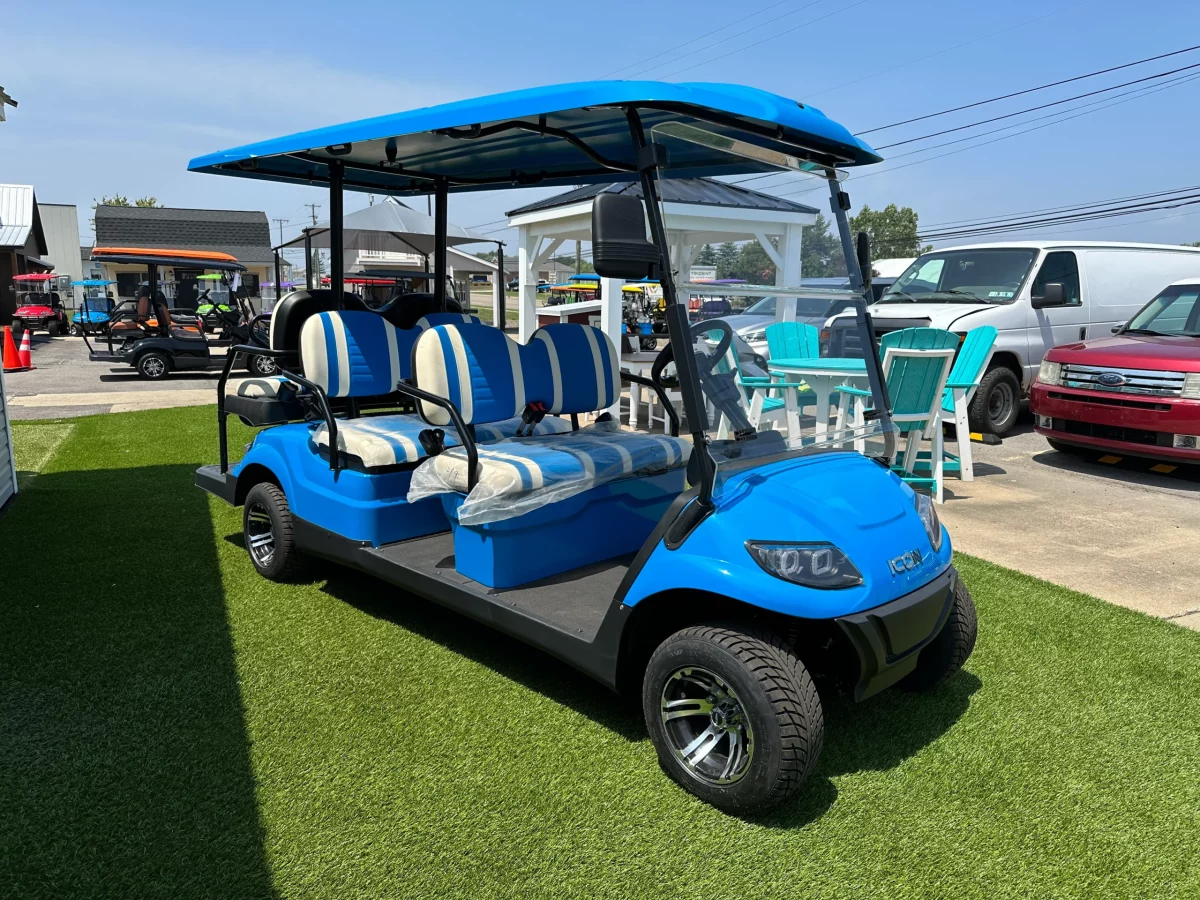 6 seater golf cart (1)