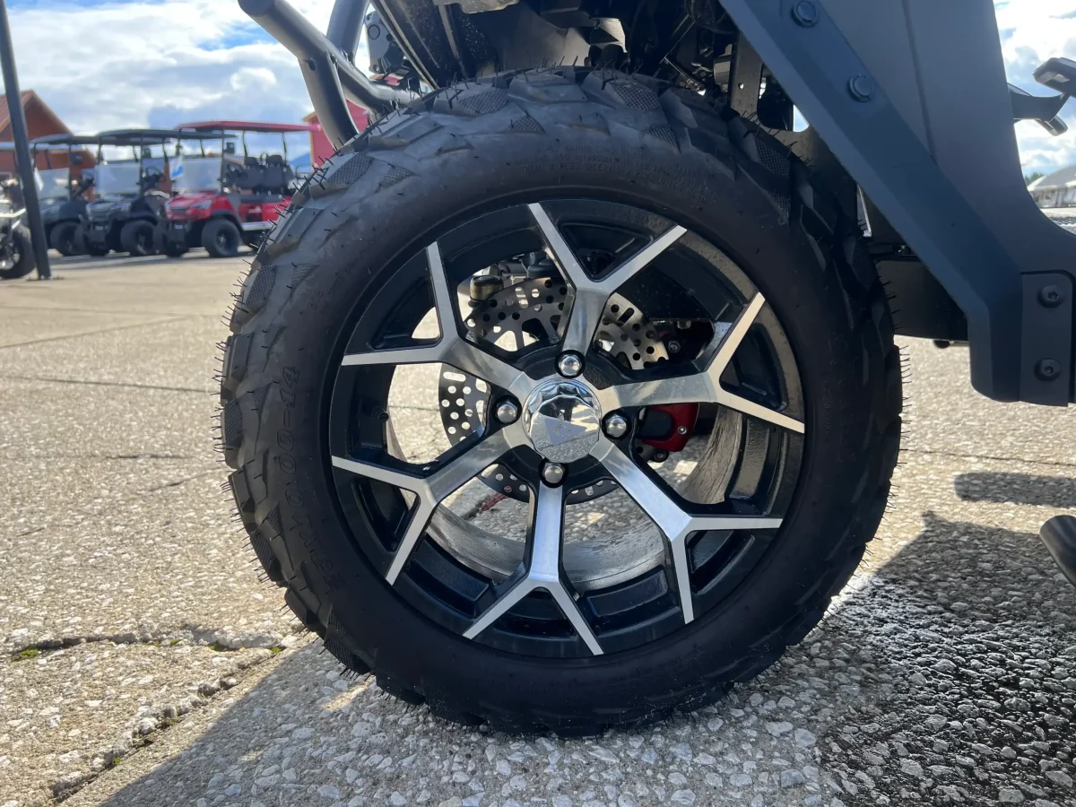 6 seater golf cart mentor ohio mentor on the lake 2