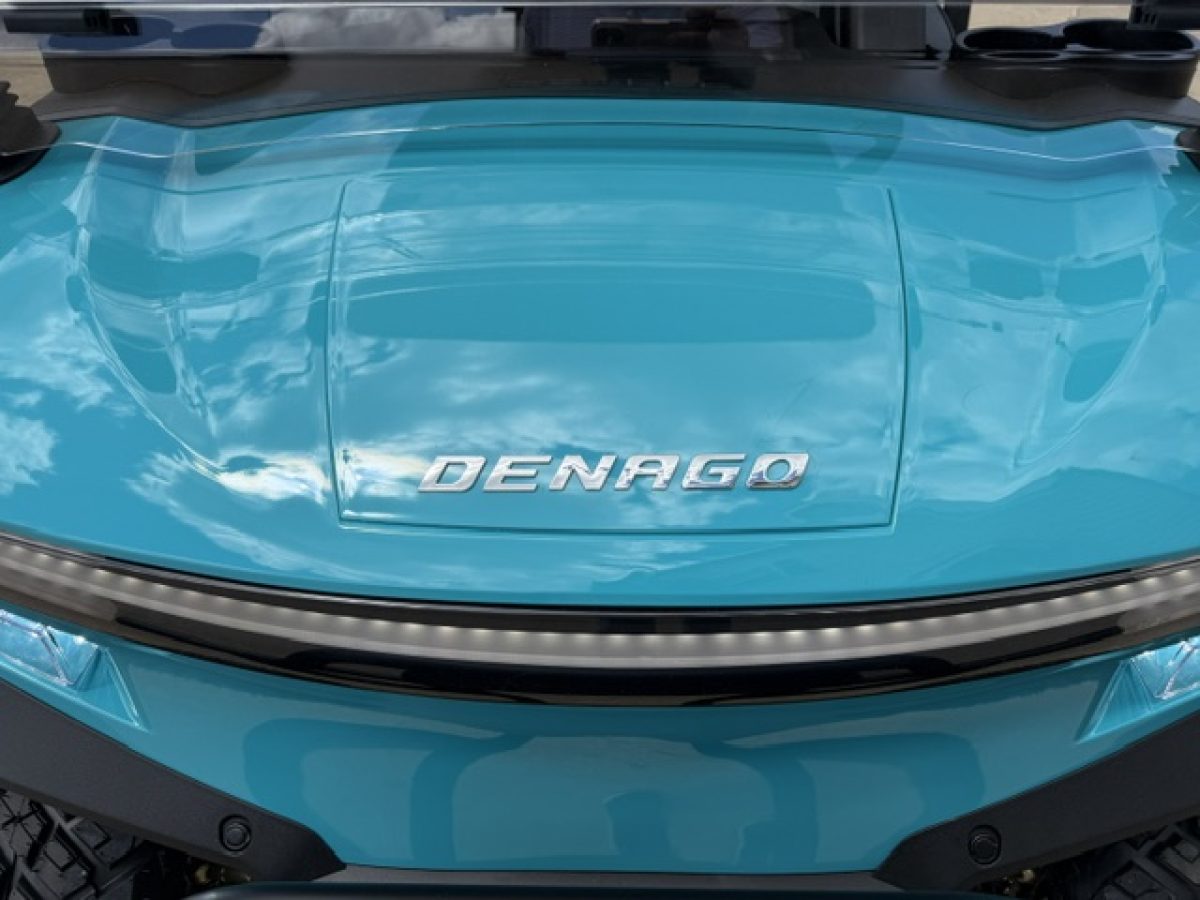best golf car to buy Painesville Township Ohio