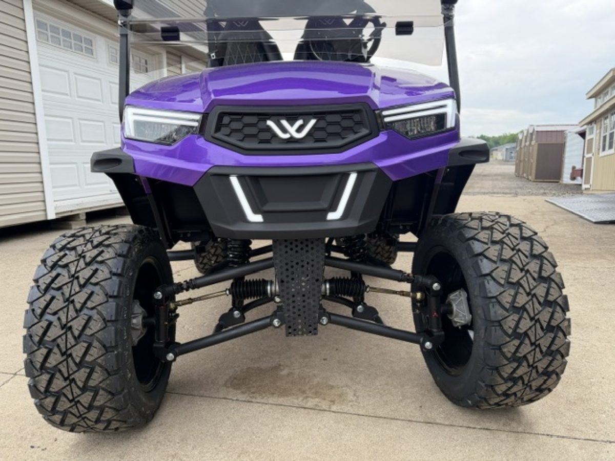 best golf cart brand​ Mentor on the Lake Ohio