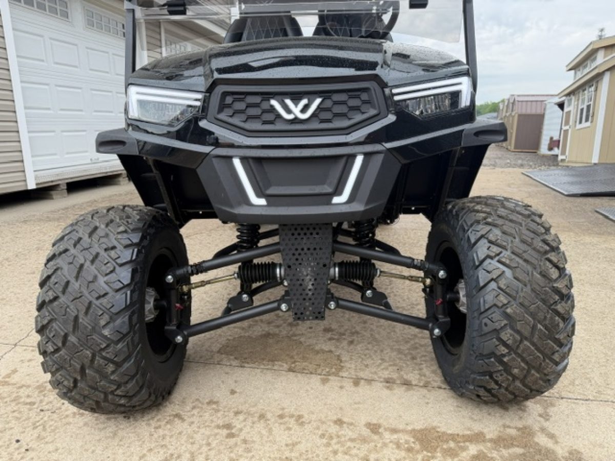 best golf cart​ for sale Mentor on the Lake Ohio